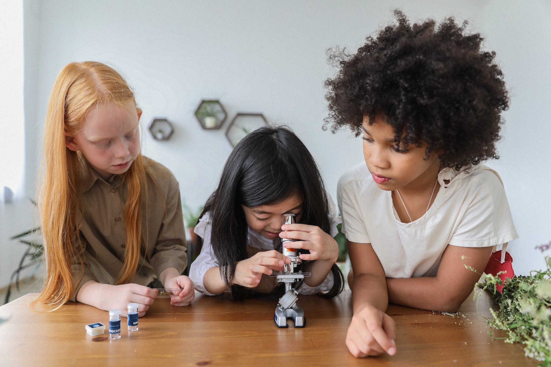 Breaking Barriers: The Importance of Diversity in STEM Education ...