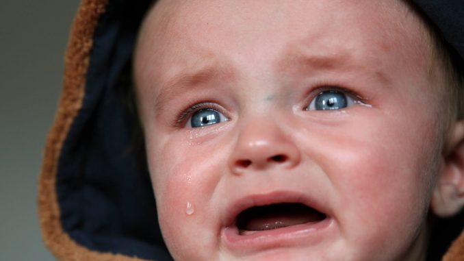 close up photo of crying baby