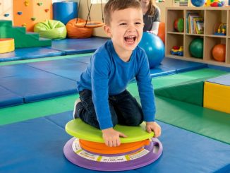 dizzy disc multi planer function