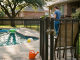 pool safety
